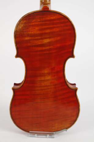 Violine Wilfer - фото 3