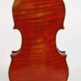 Violine Wilfer - фото 3