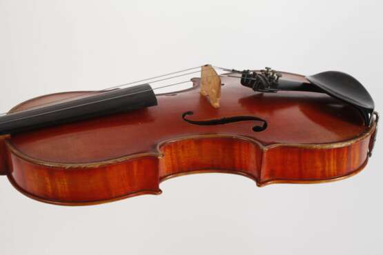 Violine Wilfer - фото 4