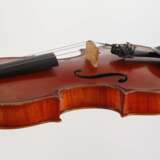 Violine Wilfer - фото 4