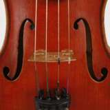 Violine Wilfer - фото 5