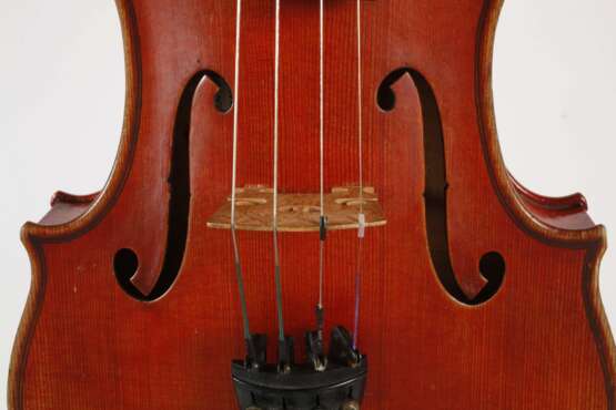 Violine Wilfer - фото 5
