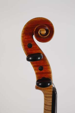 Violine Wilfer - фото 6