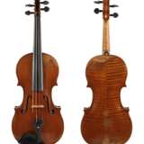 Violine Vavra - Foto 1