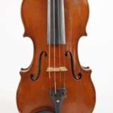 Violine Vavra - Foto 2
