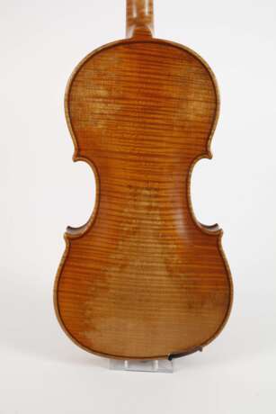 Violine Schimansky - photo 3