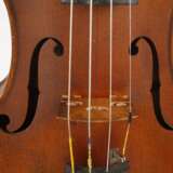 Violine Schimansky - photo 5