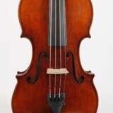 Violine Knorr - фото 2