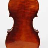 Violine Knorr - фото 3