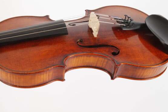 Violine Knorr - фото 4