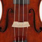 Violine Knorr - фото 5