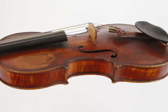 Violine Spidlen - фото 4