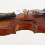 Violine Spidlen - фото 4