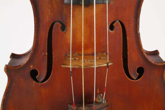 Violine Spidlen - фото 5