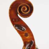 Violine Spidlen - фото 6