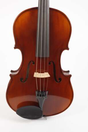 Viola im Etui - photo 2