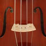 Viola im Etui - photo 5