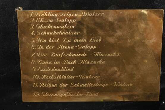 Große Walzenspieldose - Foto 5