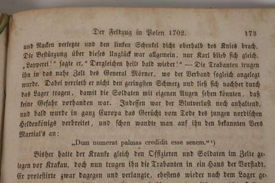 Biographie Karl XII. - photo 4