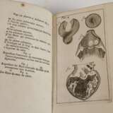 Nouvelle Anatomie Raisonnèe 1690 - Foto 5