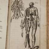 Nouvelle Anatomie Raisonnèe 1690 - Foto 7