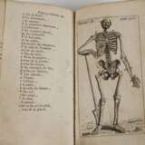 Nouvelle Anatomie Raisonnèe 1690 - Foto 8