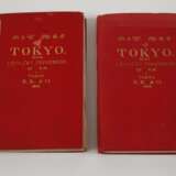 Zwei Stadtpläne Tokio 1893 - Foto 2