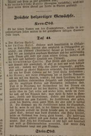 Bilder zum Anschauungs-Unterricht - photo 3