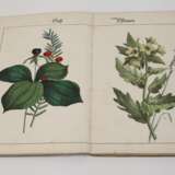 Bilder zum Anschauungs-Unterricht - photo 5