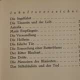 Alfred Döblin, Die Ermordung einer Butterblume - Foto 4