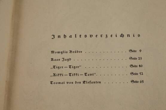 Das Dschungelbuch - photo 4