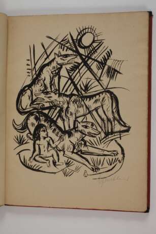 Das Dschungelbuch - photo 5