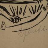 Das Dschungelbuch - photo 6