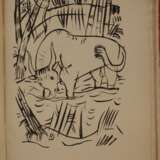Das Dschungelbuch - photo 10