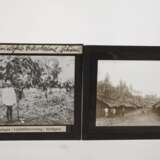 Konvolut Glasdias Afrika - photo 3