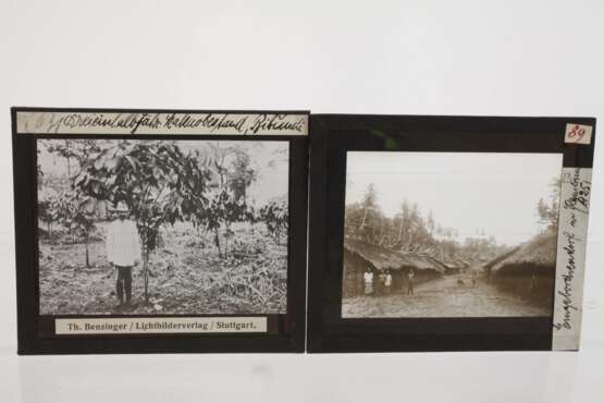 Konvolut Glasdias Afrika - photo 3