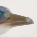 Meissen "Eisvogel, Kopf gestreckt" - photo 5