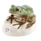 Nymphenburg "Laubfrosch" - photo 1