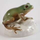 Nymphenburg "Laubfrosch" - photo 2