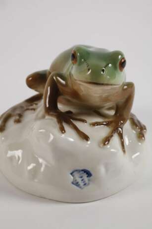 Nymphenburg "Laubfrosch" - photo 3