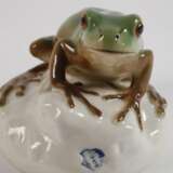 Nymphenburg "Laubfrosch" - photo 3
