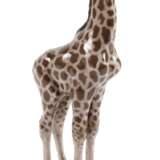 Rosenthal "Giraffe" - фото 1