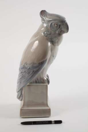Rudolf von Heider Kakadu - photo 2