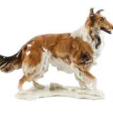 Hutschenreuther Collie - Foto 1