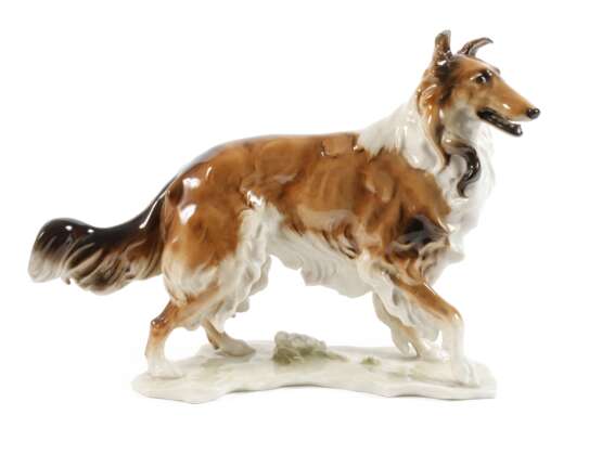 Hutschenreuther Collie - Foto 1