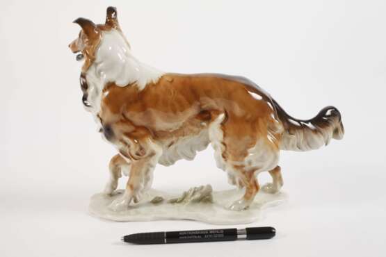 Hutschenreuther Collie - Foto 3