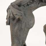 Willi Tannheimer, Don Quijote auf Rosinante - Foto 4