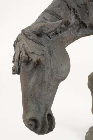 Willi Tannheimer, Don Quijote auf Rosinante - Foto 4