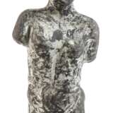 Frédérique van Eyseren, "Torso" - photo 1