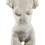 Moderner weiblicher Torso - photo 1